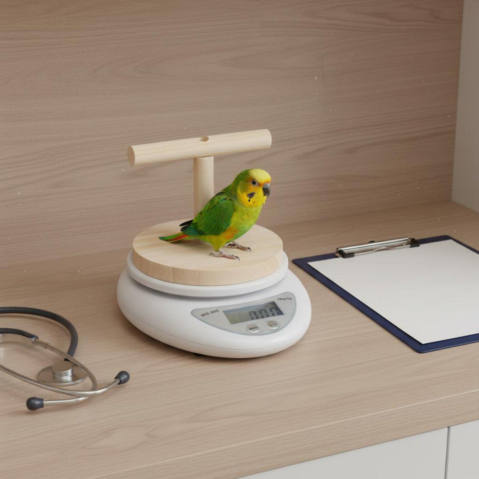 デジタルペットバードスケール、取り外し可能な木製T型止まり木 - Portion Scale Digital のレビューと価格